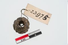 Foto von Glasaugenperle (NHMW-PRAE-023975)